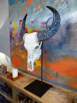 Kaazo Swiss Alpine Dreams Water Buffalo Skull Firth Furniture