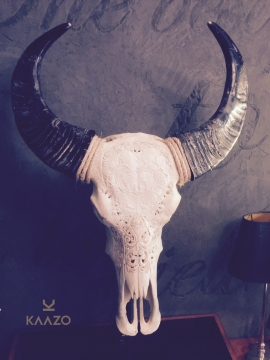 Kaazo Swiss Alpine Dreams Water Buffalo Skull Firth Furniture
